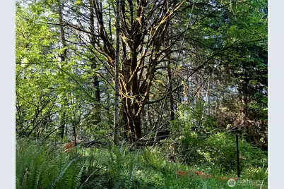 5710 Oyster Bay Road NW, Olympia, WA 98502 - Photo 7