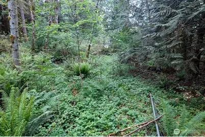 13806 Lone Maple Lane NW, Poulsbo, WA 98370 - Photo 19