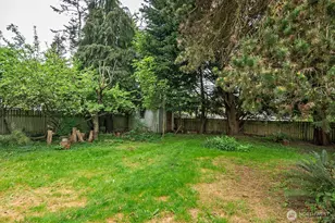 14019 36th Ave NE, Seattle, WA 98125 - Photo 19