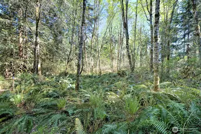 19381 E State Highway 3, Allyn, WA 98524 - Photo 5