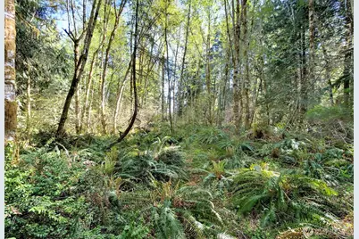 19381 E State Highway 3, Allyn, WA 98524 - Photo 9