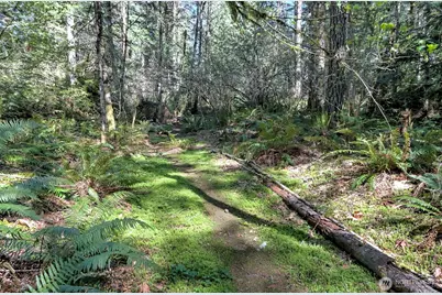19381 E State Highway 3, Allyn, WA 98524 - Photo 11