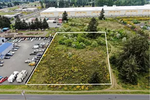 19445 Elderberry St SW, Rochester, WA 98579 - Photo 1
