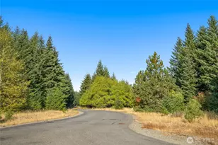 3241 Jenkins Drive, Cle Elum, WA 98922 - Photo 1