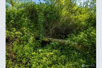 274192 E Hwy 101, Sequim, WA 98382 - Photo 39