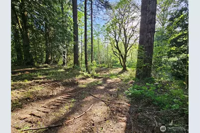 0 Lot15 Middle Earth Lane, Elma, WA 98541 - Photo 9