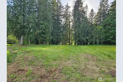 0 Lot15 Middle Earth Lane, Elma, WA 98541 - Photo 5