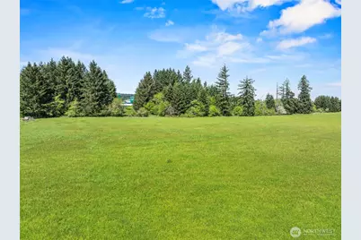0 E Hale Road, Winlock, WA 98596 - Photo 15