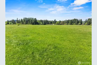 0 E Hale Road, Winlock, WA 98596 - Photo 19