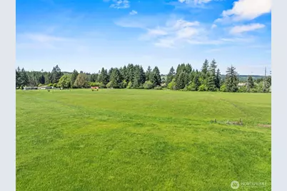 0 E Hale Road, Winlock, WA 98596 - Photo 13