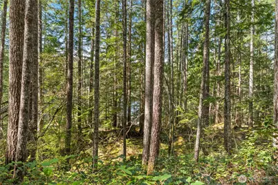 0 N White Tail Trail, Hoodsport, WA 98548 - Photo 19