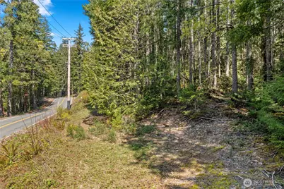 0 N White Tail Trail, Hoodsport, WA 98548 - Photo 25