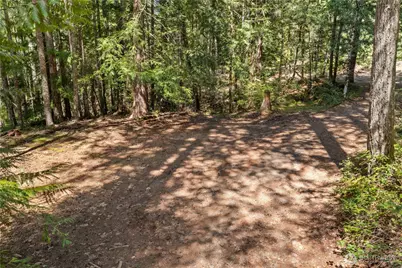 0 N White Tail Trail, Hoodsport, WA 98548 - Photo 11