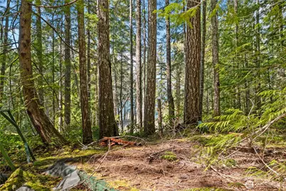 0 N White Tail Trail, Hoodsport, WA 98548 - Photo 23