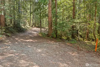 0 N White Tail Trail, Hoodsport, WA 98548 - Photo 5