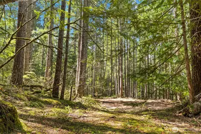 0 N White Tail Trail, Hoodsport, WA 98548 - Photo 9