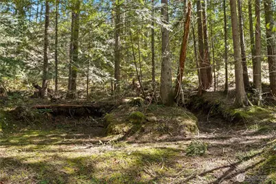 0 N White Tail Trail, Hoodsport, WA 98548 - Photo 7