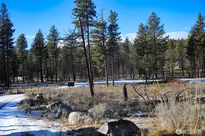 0 Red Feather Lot 16 #B, Tonasket, WA 98849 - Photo 29