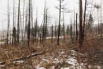 0 Red Feather Lot 16 #B, Tonasket, WA 98849 - Photo 13