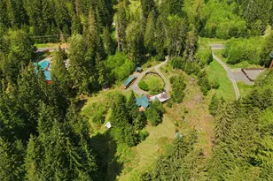 33822 State Route 706 E, Ashford, WA 98304 - Photo 5
