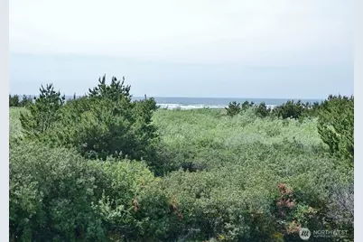 615 Ocean Shores Boulevard NW #317, Ocean Shores, WA 98569 - Photo 5