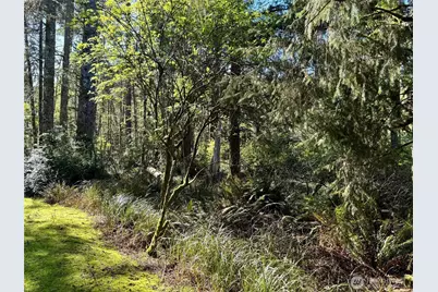 186 Murphy Court SE, Ocean Shores, WA 98569 - Photo 3