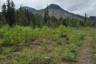 0 Wa-547, Sumas, WA 98295 - Photo 1
