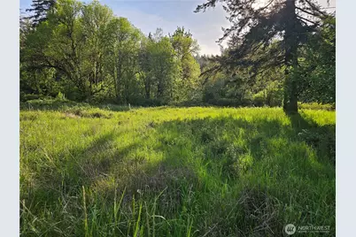 39 Lot 19 Middle Earth Lane, Elma, WA 98541 - Photo 11