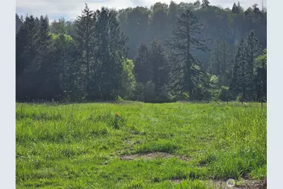 39 Lot 19 Middle Earth Lane, Elma, WA 98541 - Photo 13