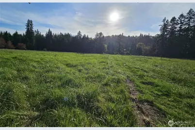 39 Lot 19 Middle Earth Lane, Elma, WA 98541 - Photo 3