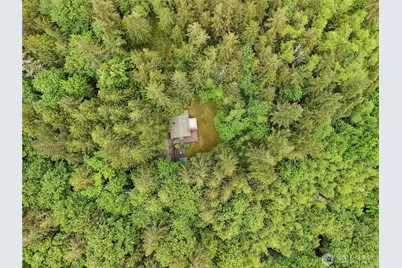 431 Taison Lane, Quilcene, WA 98376 - Photo 3