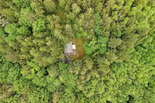 431 Taison Ln, Quilcene, WA 98376 - Photo 3