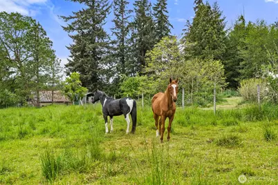 236 Chilvers Road, Chehalis, WA 98532 - Photo 29