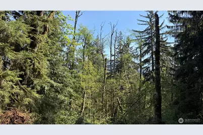 135 Xx 415th Way SE, North Bend, WA 98045 - Photo 11
