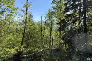 135 Xx 415th Way SE, North Bend, WA 98045 - Photo 1