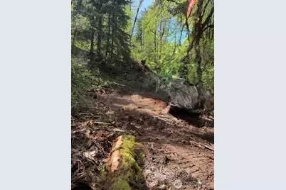 135 Xx 415th Way SE, North Bend, WA 98045 - Photo 3