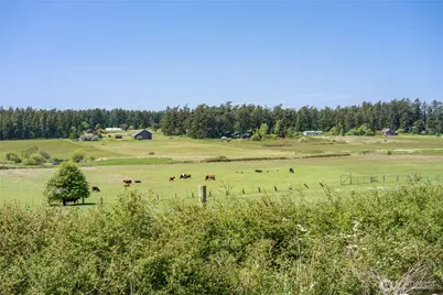 124 Donna's Lane, Lopez Island, WA 98261 - Photo 21