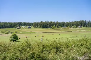 124 Donna's Ln, Lopez Island, WA 98261 - Photo 21