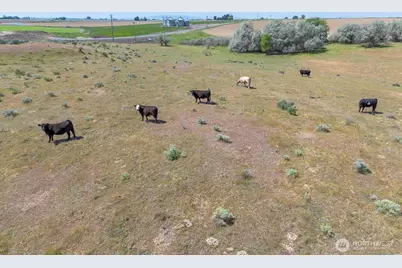 4601 Sr 17, Mesa, WA 99343 - Photo 9