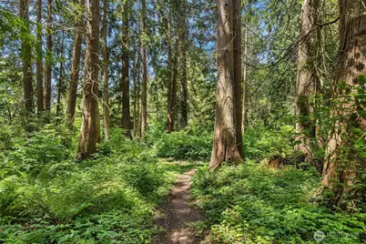 7717 252nd Avenue NE, Redmond, WA 98053 - Photo 37