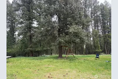 33 Old West Curlew Lake Road, Republic, WA 99166 - Photo 11