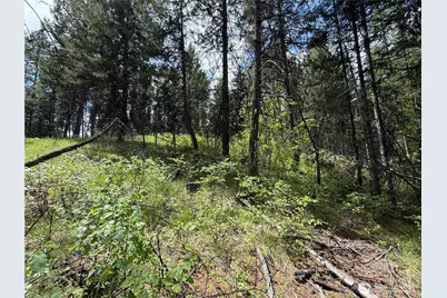 0 Knob Hill Road E, Republic, WA 99166 - Photo 3
