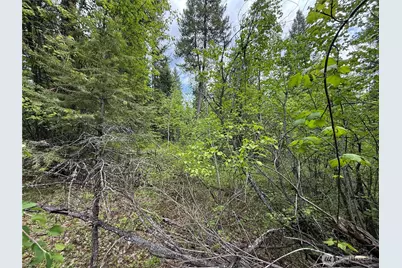 0 Knob Hill Road E, Republic, WA 99166 - Photo 15