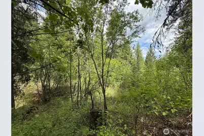 0 Knob Hill Road E, Republic, WA 99166 - Photo 11