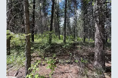 0 Knob Hill Road E, Republic, WA 99166 - Photo 19