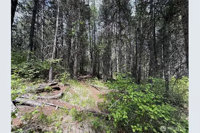 0 Knob Hill Road E, Republic, WA 99166 - Photo 17