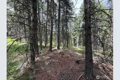 0 Knob Hill Road E, Republic, WA 99166 - Photo 21