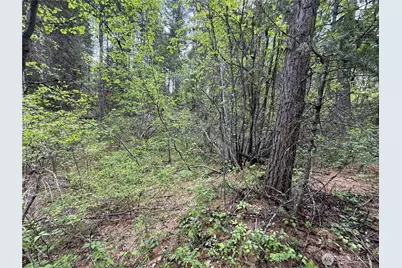 0 Knob Hill Road E, Republic, WA 99166 - Photo 27
