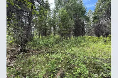 0 Knob Hill Road E, Republic, WA 99166 - Photo 5