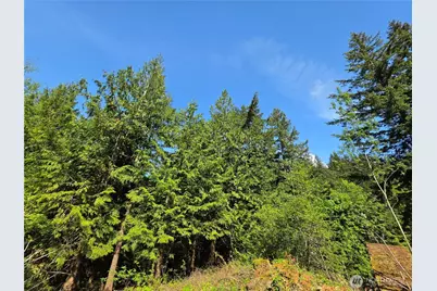 4225 Jimi Hendrix Way, Bellingham, WA 98226 - Photo 3